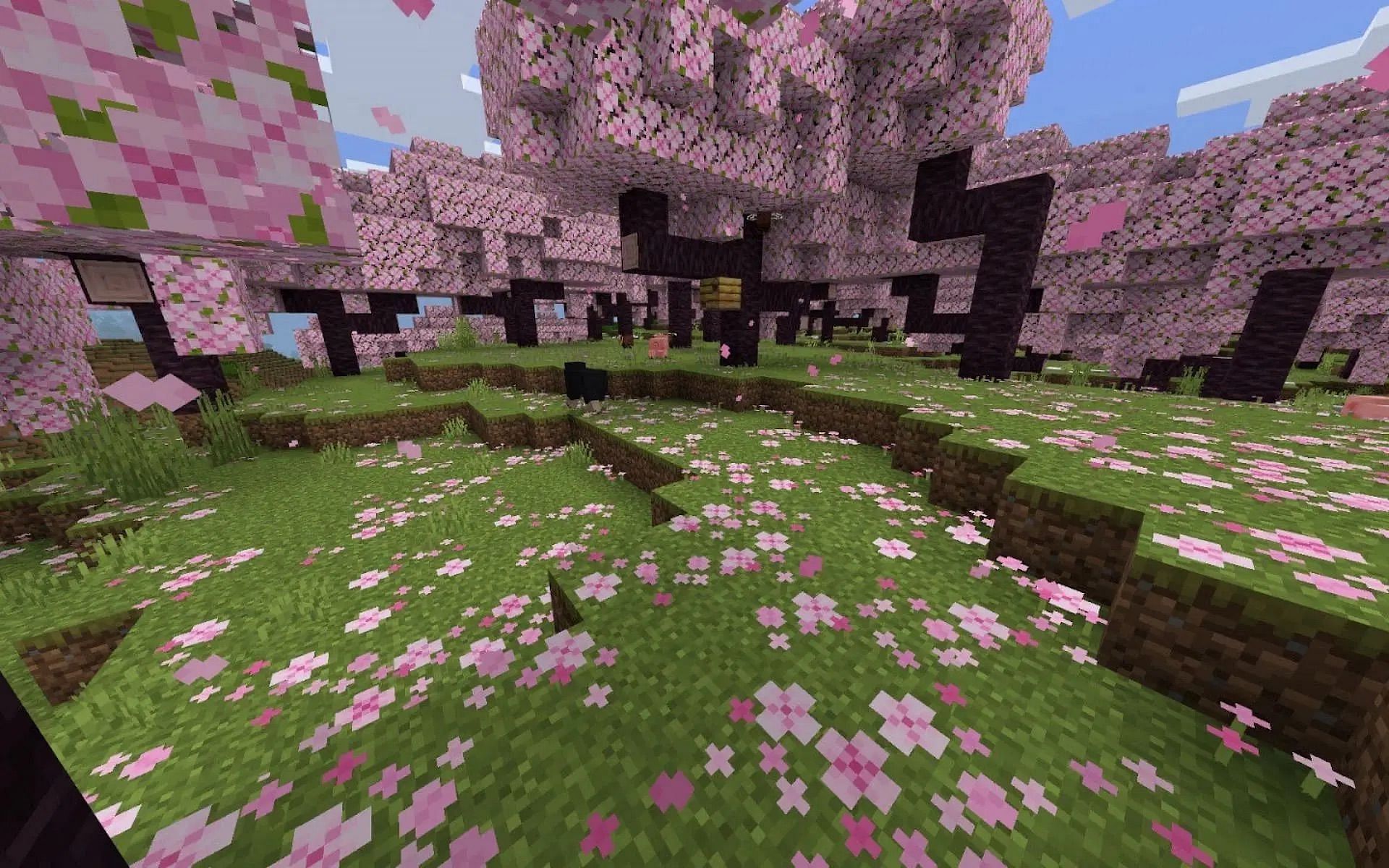 The cherry grove biome (Image via Mojang Studios)